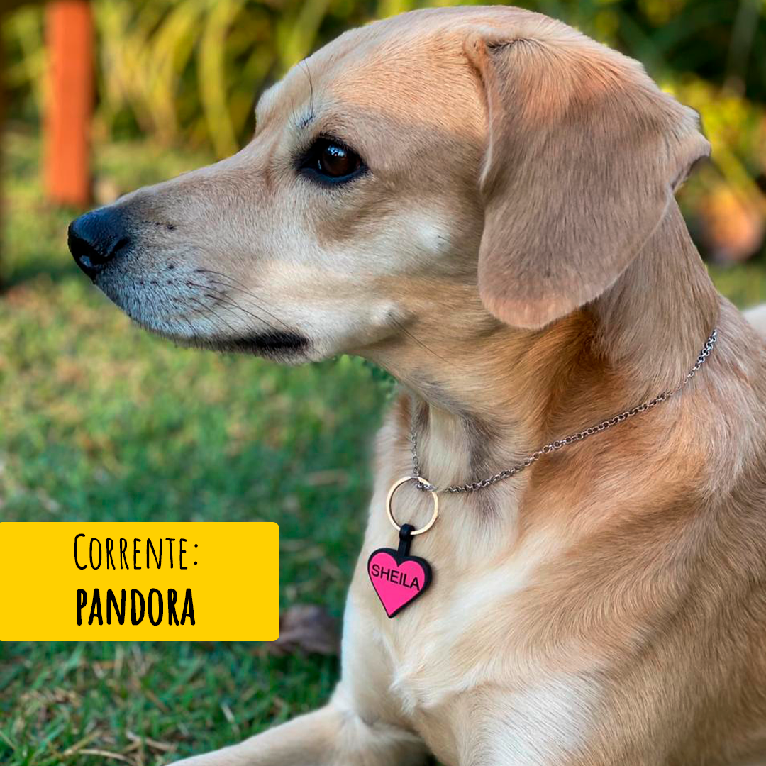 Correntinha Pet de Inox Pandora