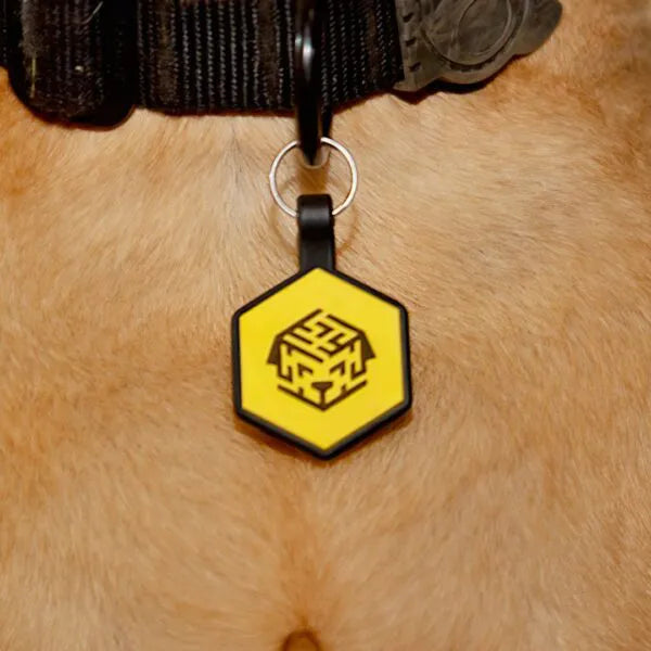 Maze tag