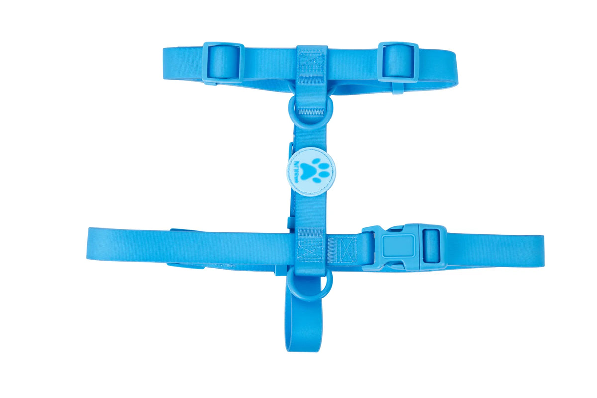 Peitoral Azul