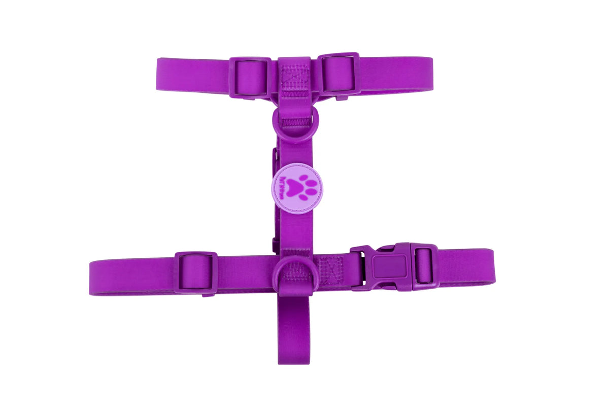 Peitoral Roxo