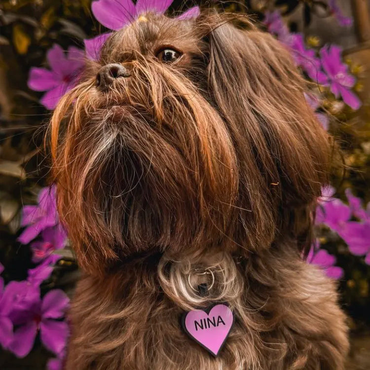 Tag Coração Roxo