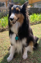 Tag Círculo M Verde Água