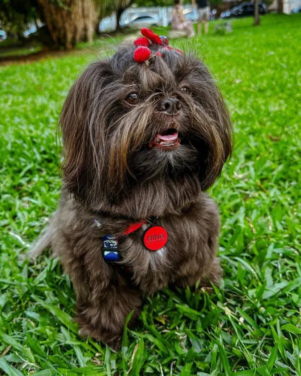 Tag Círculo M Vermelho