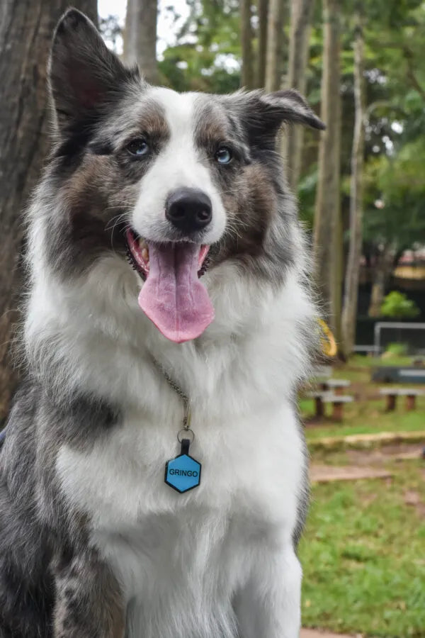 Tag Hexágono Azul