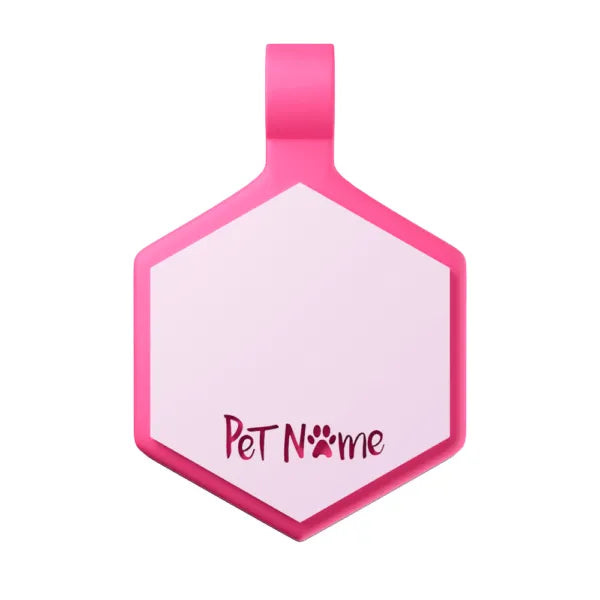 Tag Hexágono Candy Pink