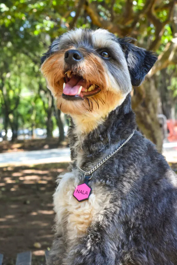 Tag Hexágono Rosa