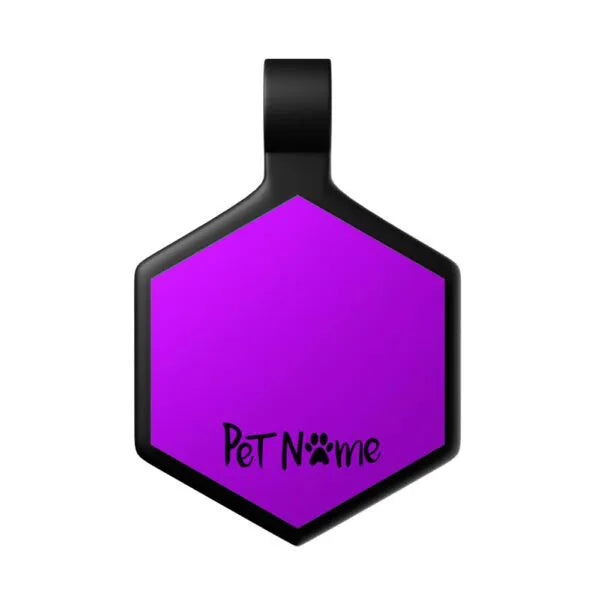 Tag Hexágono Roxo